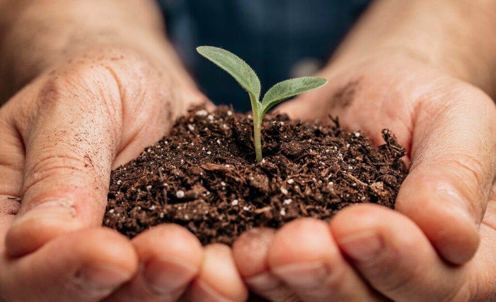 close-up-male-hands-holding-soil-little-plant_23-2148814127